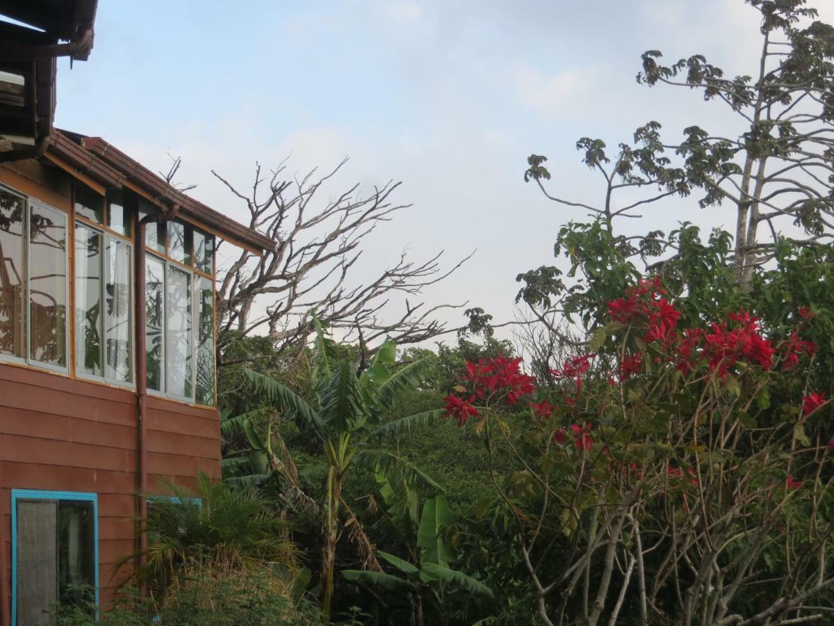 Apartamento ArteSAna Monteverde Exterior foto